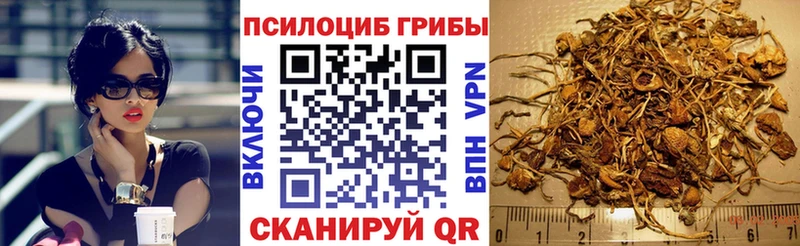 Галлюциногенные грибы ЛСД  Елабуга 